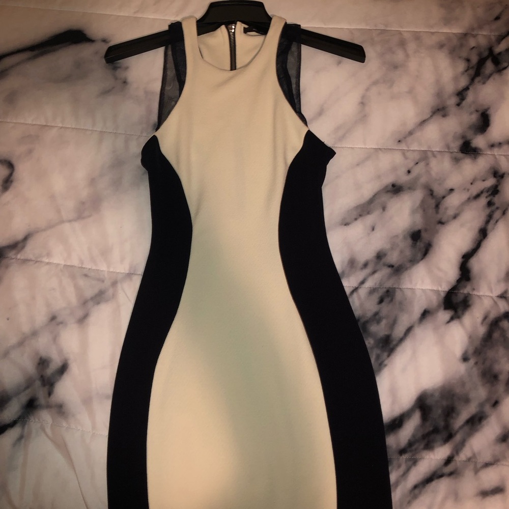 form fitting dress